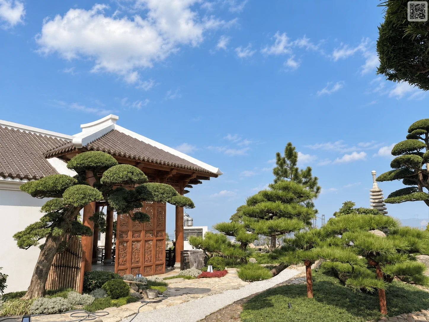 Ảnh sản phẩm 5