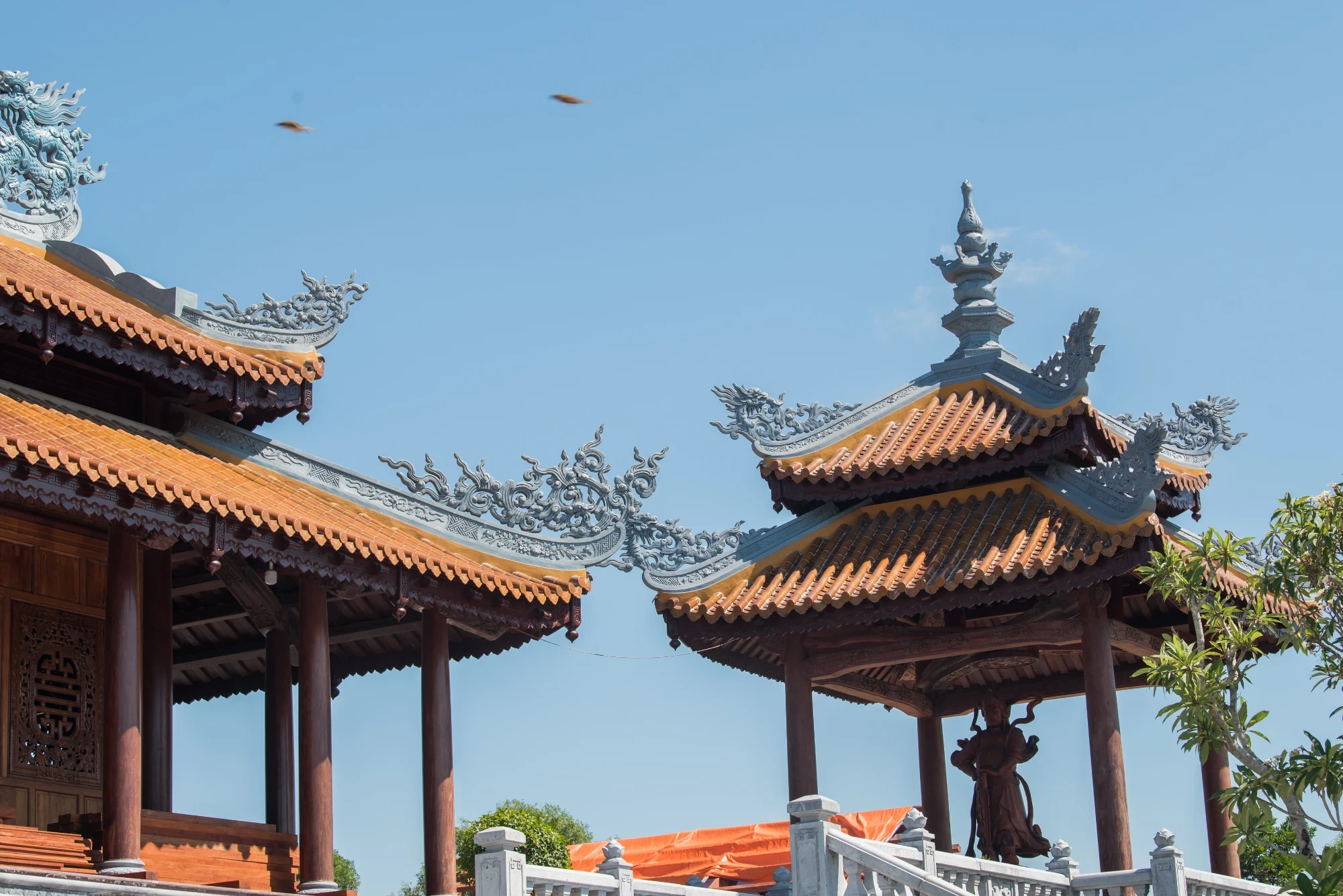 Ảnh sản phẩm 5