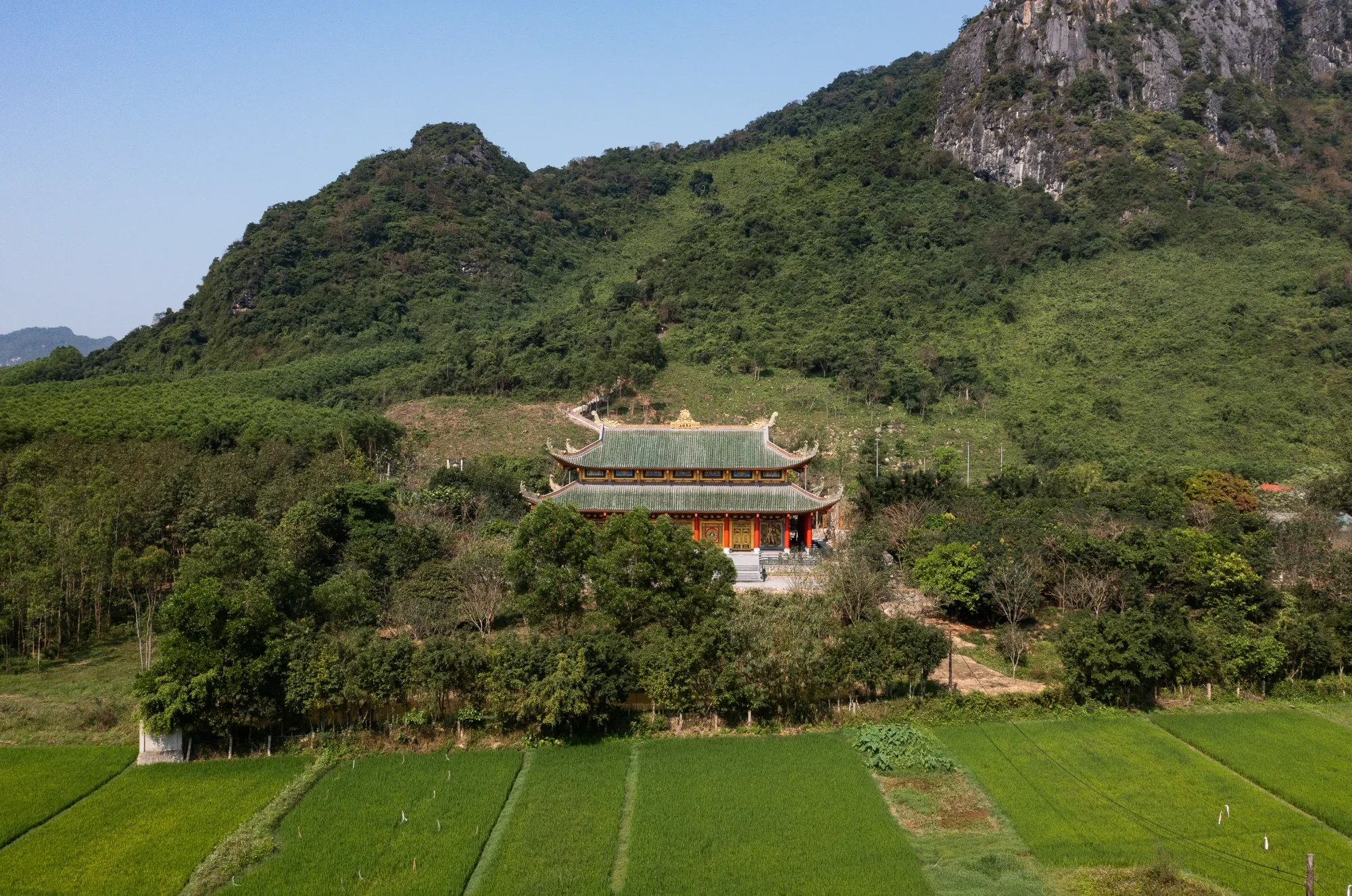 Ảnh sản phẩm 7