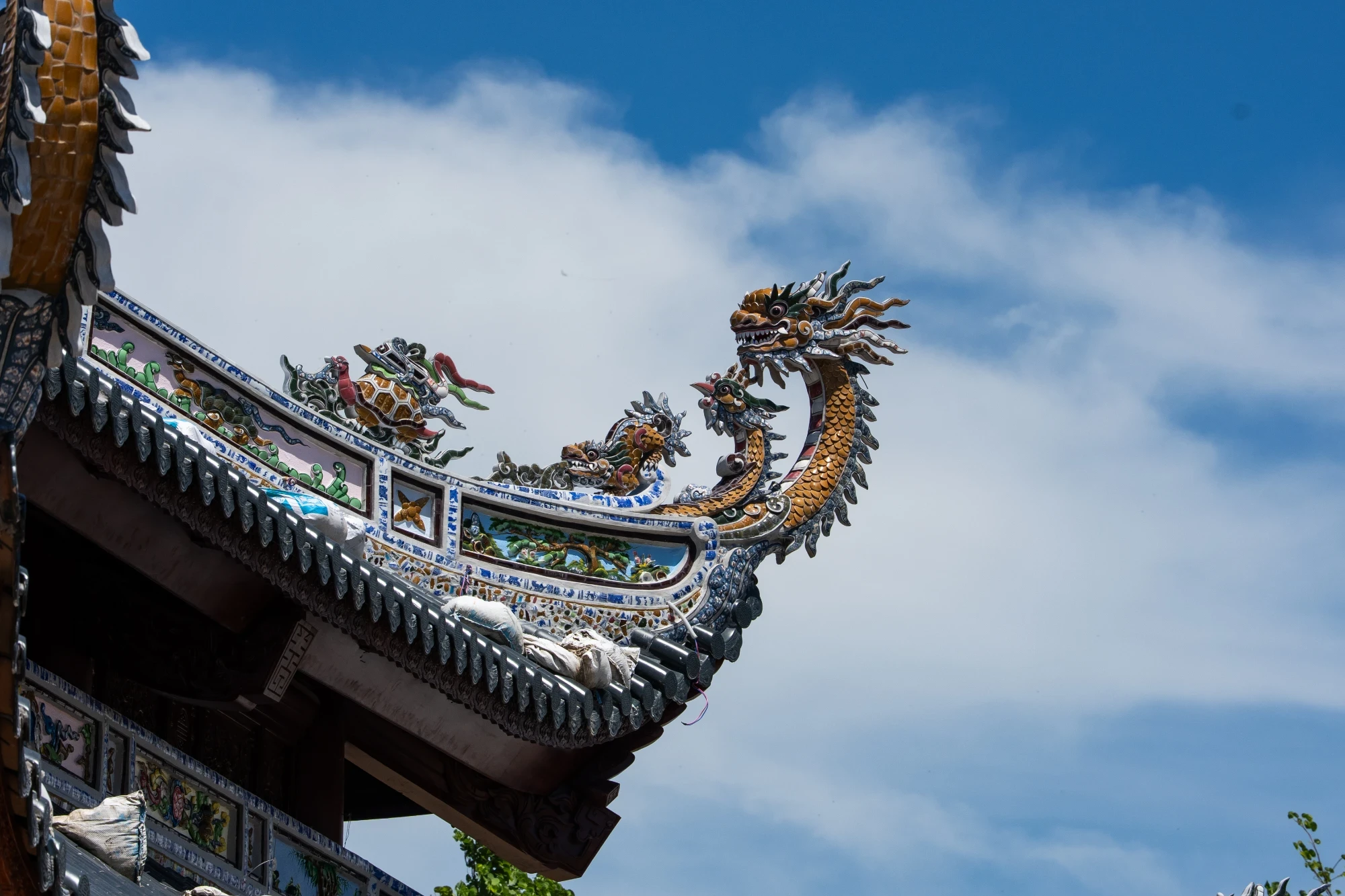 Ảnh sản phẩm 5