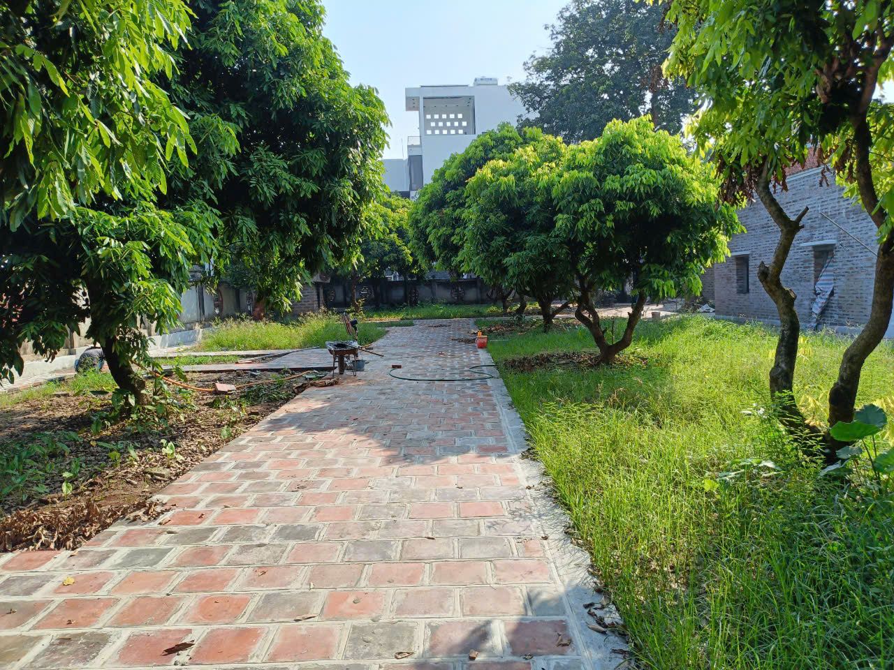 Gạch Thẻ Mộc Không Men - Bản 2